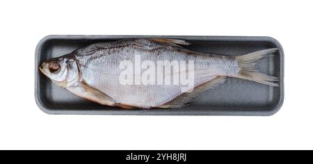 Dried salted fish in a tray isolated on white. Stock Photo