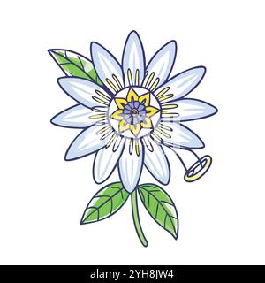 Passion flower vector illustration isolated on white background. Blue ...