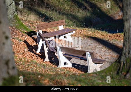 Outdoor bench seats in the park in the autumn sunny day. Fall leaves on the ground. Stock Photo