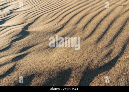 Shadows cast by ripples in the soft, sunlit sand create an intricate pattern. Stock Photo