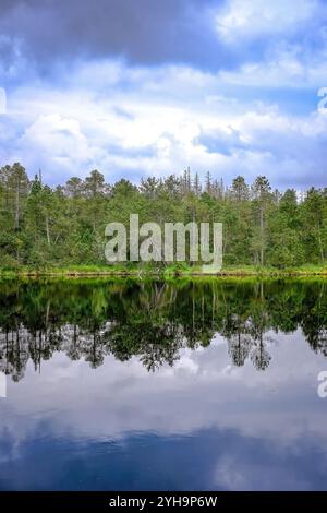 A tranquil lake surrounded by a lush forest, with the trees reflected perfectly on the calm water surface. Stock Photo