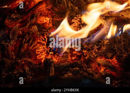 Bonfire summer night relaxation Stock Photo Alamy
