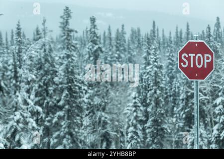 Winter scene in northern Canada with a traffic stop sign standing out on the white, snowy background with bright red signal. Stock Photo