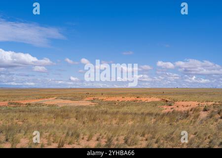 Expansive grasslands under a bright blue sky with scattered clouds. Small group of people in the distance. Isalo National Park, Madagascar. Stock Photo