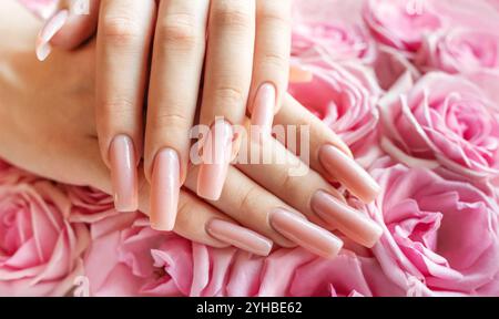 Delicate hands showcase beautifully manicured long nails, complemented by lush pink roses creating a serene and elegant atmosphere. Stock Photo