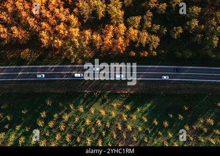Many cars driving along the straight road through autumn forest landscape in october afternoon, aerial shot from drone pov, top down Stock Photo