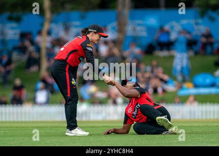 Adelaide, Australia. 11th Nov, 2024. Adelaide, Australia, November 11th 2024: Courtney Webb (11 Melbourne Renegades) helps Hayley Matthews (50 Melbourne Renegades) up during the Weber Womens Big Bash League 10 game between Adelaide Strikers and Melbourne Renegades at Karen Rolton Oval in Adelaide, Australia (Noe Llamas/SPP) Credit: SPP Sport Press Photo. /Alamy Live News Stock Photo