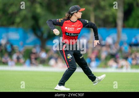 Adelaide, Australia. 11th Nov, 2024. Adelaide, Australia, November 11th 2024: Courtney Webb (11 Melbourne Renegades) fields during the Weber Womens Big Bash League 10 game between Adelaide Strikers and Melbourne Renegades at Karen Rolton Oval in Adelaide, Australia (Noe Llamas/SPP) Credit: SPP Sport Press Photo. /Alamy Live News Stock Photo