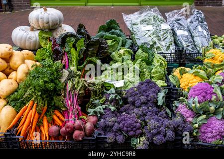 Colourful Winter Vegetables On A Market Stall, Lewes, East Sussex, UK. Stock Photo