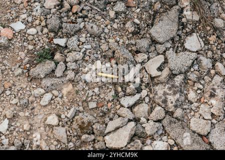 Rifle bullet shell casing laying on ground Stock Photo