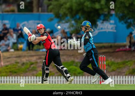 Adelaide, Australia. 11th Nov, 2024. Adelaide, Australia, November 11th 2024: Courtney Webb (11 Melbourne Renegades) bats during the Weber Womens Big Bash League 10 game between Adelaide Strikers and Melbourne Renegades at Karen Rolton Oval in Adelaide, Australia (Noe Llamas/SPP) Credit: SPP Sport Press Photo. /Alamy Live News Stock Photo