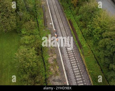 Aerial view of workers working and walking on a railway line through a forest, tamping machine, Hermann Hessebahn, Althengstett, Black Forest, Germany Stock Photo