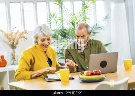 Caucasian casual and happy senior couple at home planning home budget together using laptop Stock Photo