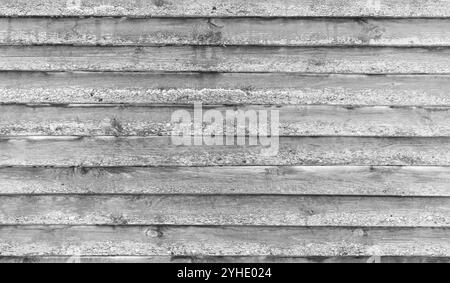 Old  grungy wooden wall with lichen on weathered gray boards,  black and white background photo texture Stock Photo