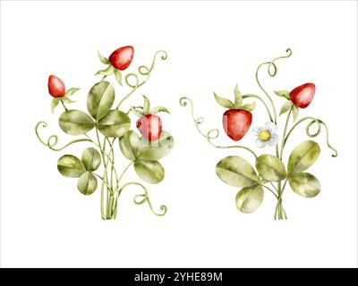 Hand-drawn, watercolor illustration with set with two bright strawberry bushes with leaves, berries and flowers. Cartoon berries illustration, in kids Stock Vector