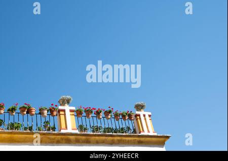 A charming rooftop balcony in Seville, featuring a yellow exterior adorned with clay pots of pink and white flowers on the metal railing Stock Photo