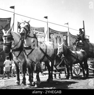 Sideshow entrance for Ringling Bros. Barnum and Bailey Circus, ca. 1950s. Stock Photo