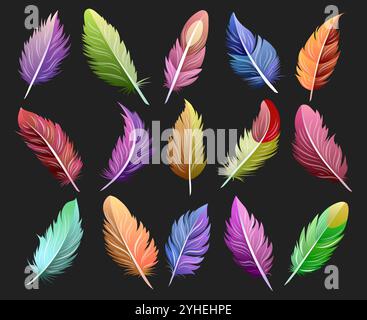 Colored feather collection. Feathers isolated on background vector illustration Stock Vector
