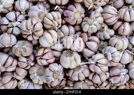 A basket of freshly harvested raw whole garlic cloves, street market in Ho Chi Mihn City, Vietnam Stock Photo