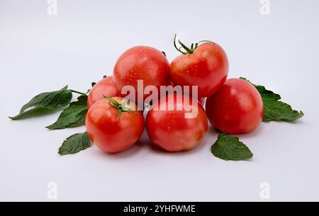 Red fresh tomatoes with water drops on white background. Front close-up Stock Photo
