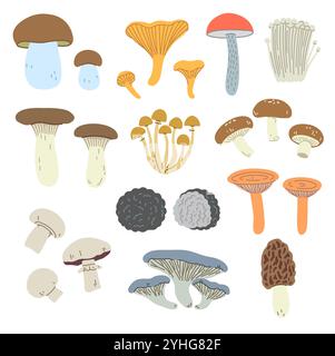 Set of edible mushrooms in simple trendy style. Hand-drawn vector illustrations for design. Stock Vector