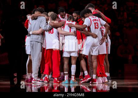 Columbus, Ohio, USA. 11th Nov, 2024. The Ohio State Buckeyes huddle prior to tipoff of the game between the Youngstown State Penguins and the Ohio State Buckeyes at Value City Arena, Columbus, Ohio. (Credit Image: © Scott Stuart/ZUMA Press Wire) EDITORIAL USAGE ONLY! Not for Commercial USAGE! Stock Photo