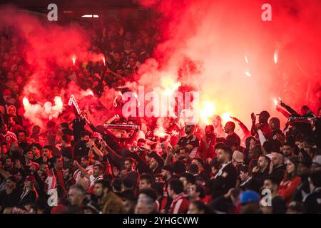 Lisbon, Portugal. 10th Nov, 2024. SL Benfica fans light torches during the Liga Portugal Betclic match between SL Benfica and FC Porto at Estadio da Luz in Lisbon. (Final score: SL Benfica 4 - 1 FC Porto) Credit: SOPA Images Limited/Alamy Live News Stock Photo