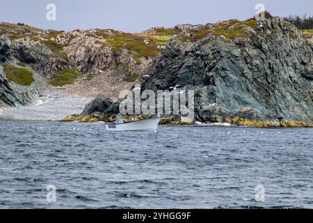 A fishing boat drifts past towering rocky cliffs along Newfoundland's rugged coastline, offering a tranquil yet dramatic view of the ocean and its wil Stock Photo