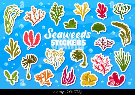 Underwater seaweeds stickers pack. Vector patches set of vibrant underwater plants. Ocean and sea vegetation. Playful, aquatic adhesive decals for scrapbooking or creative decorations for kids hobbies Stock Vector