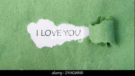 Message I Love You written on Torn paper with white and Green background Stock Photo