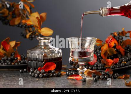 Black chokeberry liquor and fresh berries on a black background. Juice or liquor is poured from a bottle into a glass. Stock Photo