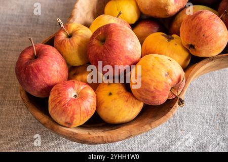 Organic apples and pomegranate in wooden bowl on gray background. Autumn harvest. Stock Photo