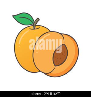 simple vector illustration of a apricot, in a simple and clean style, suitable for food and health themes. fruits flat illustration. Stock Vector