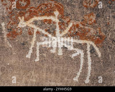 Close up view of petroglyph man carved in stone in Karelia, Russia ...