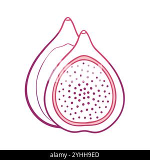 simple vector illustration of a fig, in a simple and clean style, suitable for food and health themes. fruits flat illustration. Stock Vector