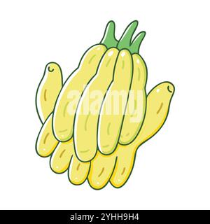 simple vector illustration of a fruit buddha s hand, in a simple and clean style, suitable for food and health themes. fruits flat illustration. Stock Vector