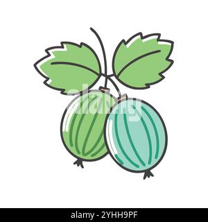 simple vector illustration of a gooseberry, in a simple and clean style, suitable for food and health themes. fruits flat illustration. Stock Vector