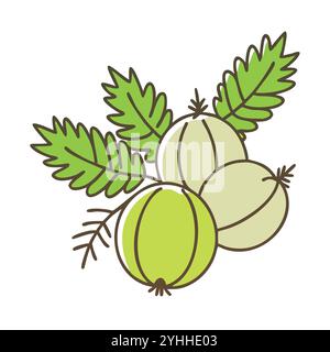 simple vector illustration of a indian gooseberry, in a simple and clean style, suitable for food and health themes. fruits flat illustration. Stock Vector