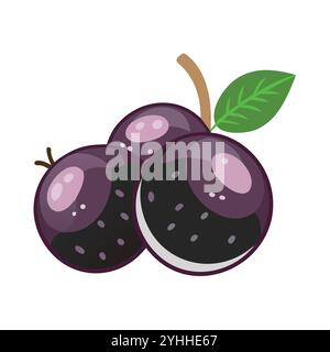 simple vector illustration of a jabuticaba, in a simple and clean style, suitable for food and health themes. fruits flat illustration. Stock Vector