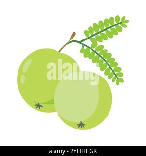 simple vector illustration of a indian gooseberry, in a simple and clean style, suitable for food and health themes. fruits flat illustration. Stock Vector