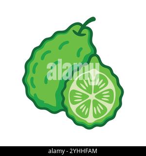 simple vector illustration of a kaffir lime, in a simple and clean style, suitable for food and health themes. fruits flat illustration. Stock Vector