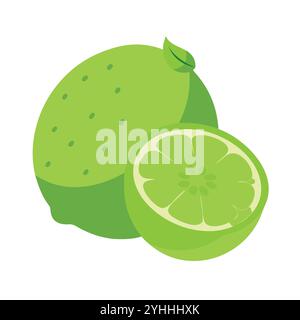 simple vector illustration of a lime, in a simple and clean style, suitable for food and health themes. fruits flat illustration. Stock Vector