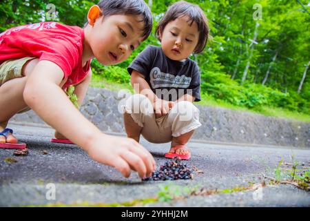 Brother and sister touching a roadside insect nest Stock Photo - Alamy