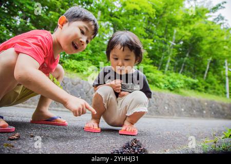 Brother and sister touching a roadside insect nest Stock Photo - Alamy