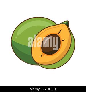 simple vector illustration of a lucuma, in a simple and clean style, suitable for food and health themes. fruits flat illustration. Stock Vector