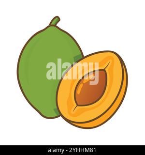 simple vector illustration of a lucuma, in a simple and clean style, suitable for food and health themes. fruits flat illustration. Stock Vector