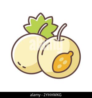 simple vector illustration of a marula, in a simple and clean style, suitable for food and health themes. fruits flat illustration. Stock Vector