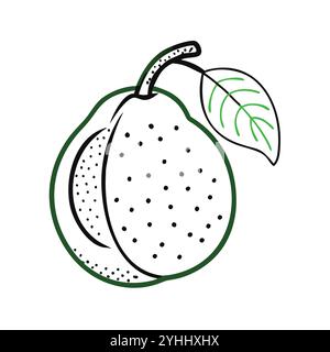 simple vector illustration of a pomelo, in a simple and clean style, suitable for food and health themes. fruits flat illustration. Stock Vector
