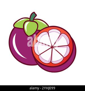 simple vector illustration of a mangosteen, in a simple and clean style, suitable for food and health themes. fruits flat illustration. Stock Vector
