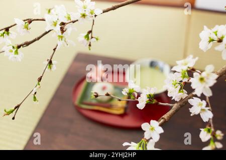 Cherry blossoms and green tea in the Japanese-style room Stock Photo